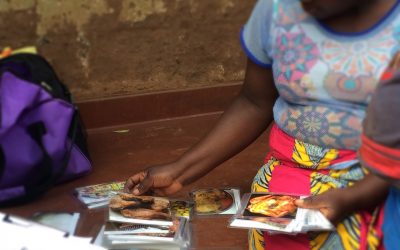 Innovative Methods for Measuring Drivers of Food Choice in Malawi